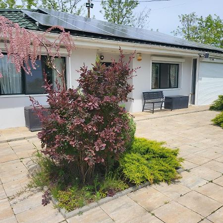 Casa Elis Piscina, Jacuzzy , Sauna, Ciubar Merei المظهر الخارجي الصورة