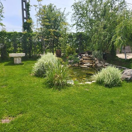 Casa Elis Piscina, Jacuzzy , Sauna, Ciubar Merei المظهر الخارجي الصورة