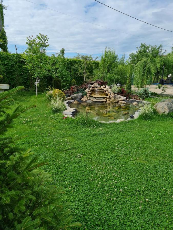 Casa Elis Piscina, Jacuzzy , Sauna, Ciubar Merei المظهر الخارجي الصورة