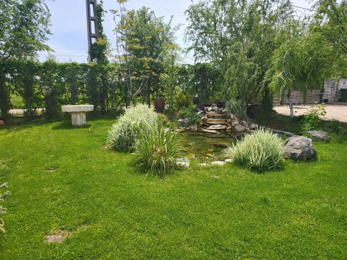 Casa Elis Piscina, Jacuzzy , Sauna, Ciubar Merei المظهر الخارجي الصورة
